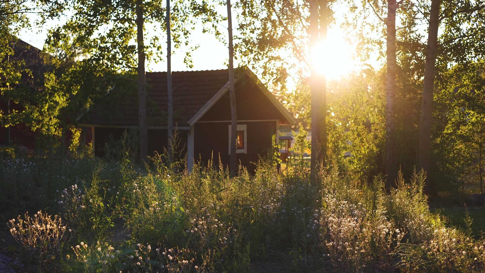 Holzhaus umgeben von hohen Bäumen