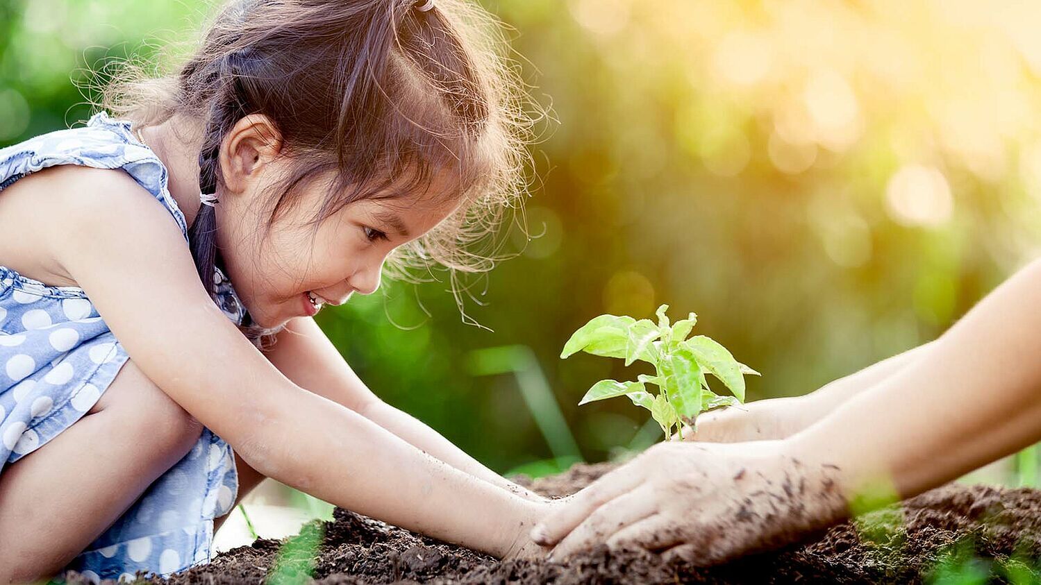 Ein kleines Mädchen pflanzt eine Pflanze ein