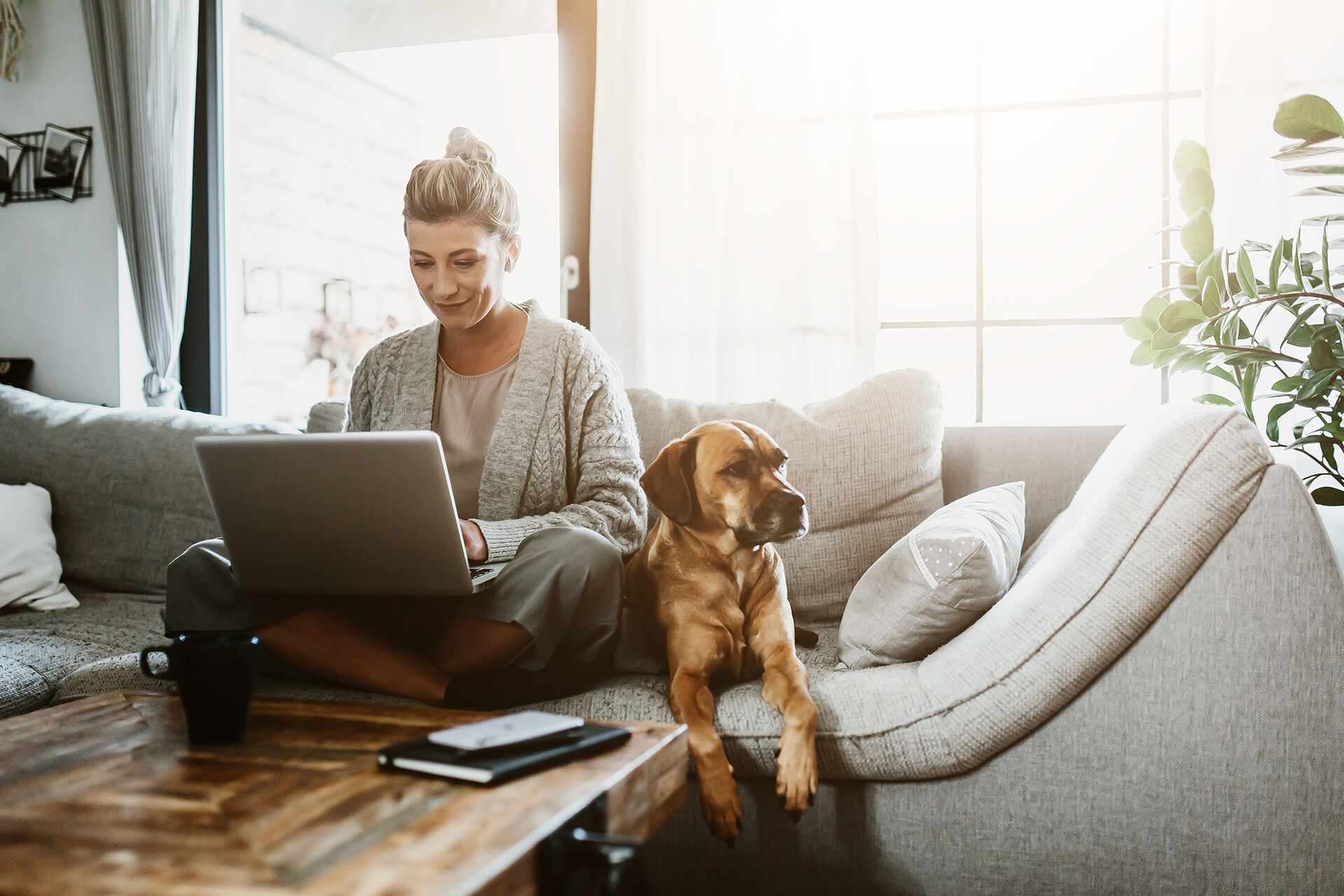 Frau arbeitet mit Hund und Laptop zu Hause