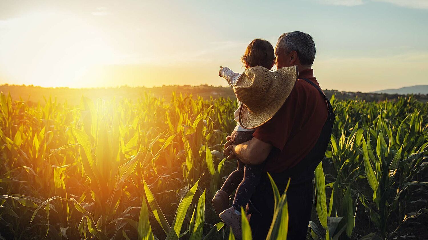Ein Großvater steht mit seinem Enkel bei Sonnenaufgang im Maisfeld 