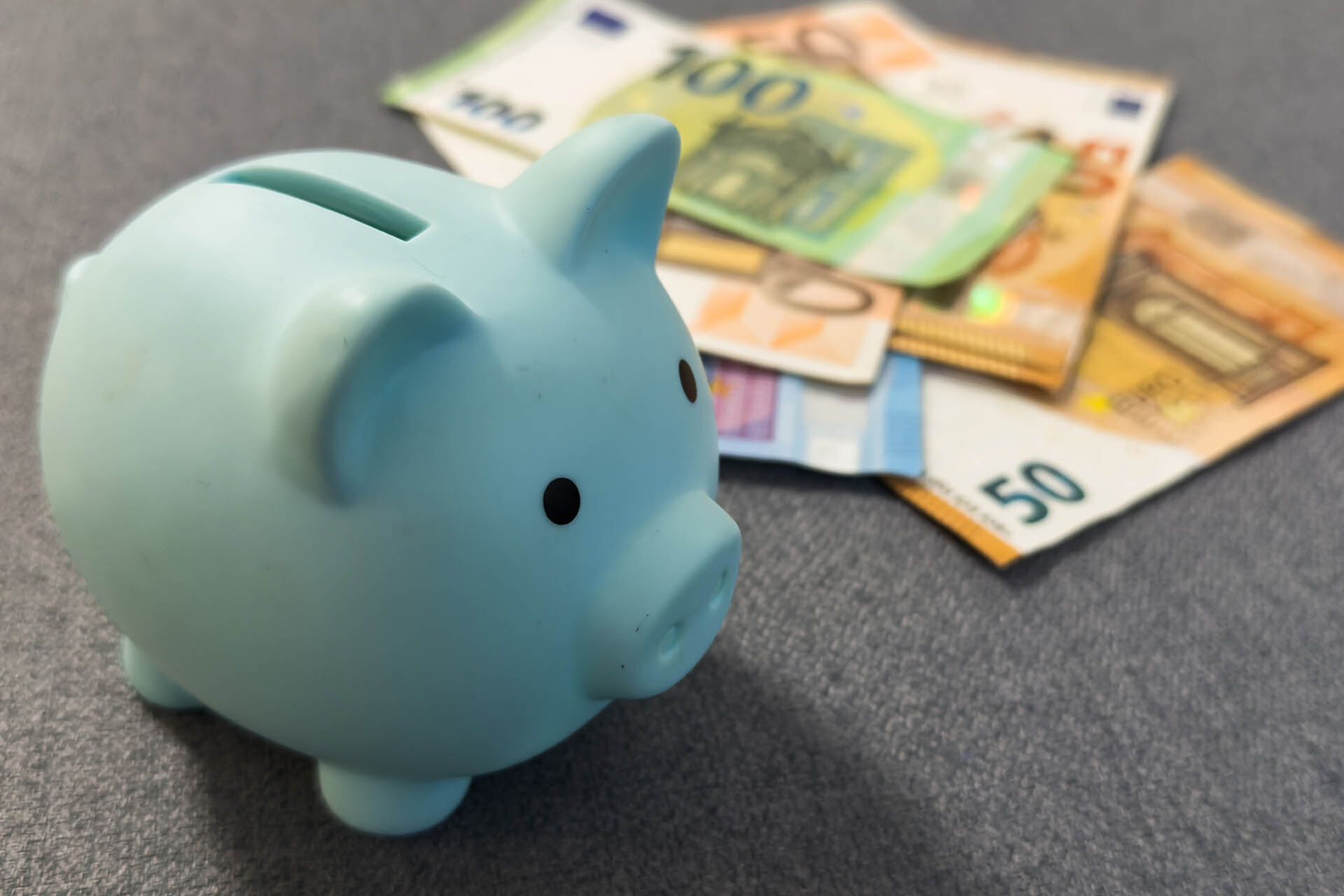 Süßes kleines Sparschwein mit Euro-Geldscheinen