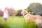 Mädchen mit Hund auf einer Wiese
