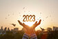 Neues Jahr 2023 mit Händen und Sonne