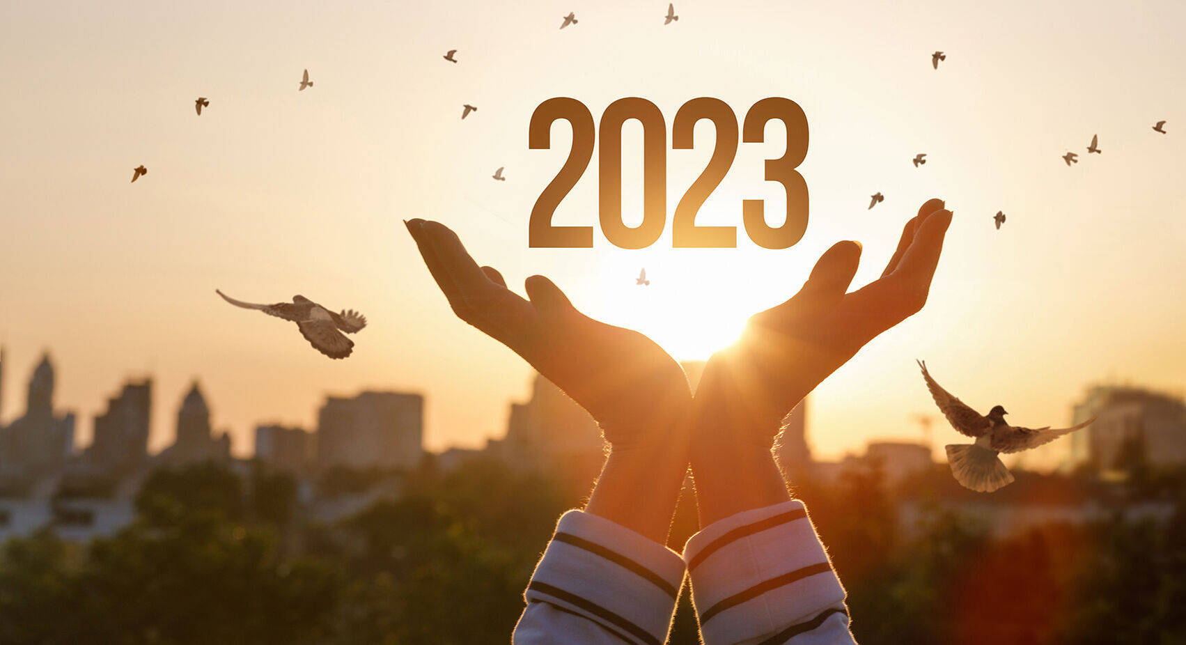 Neues Jahr 2023 mit Händen und Sonne