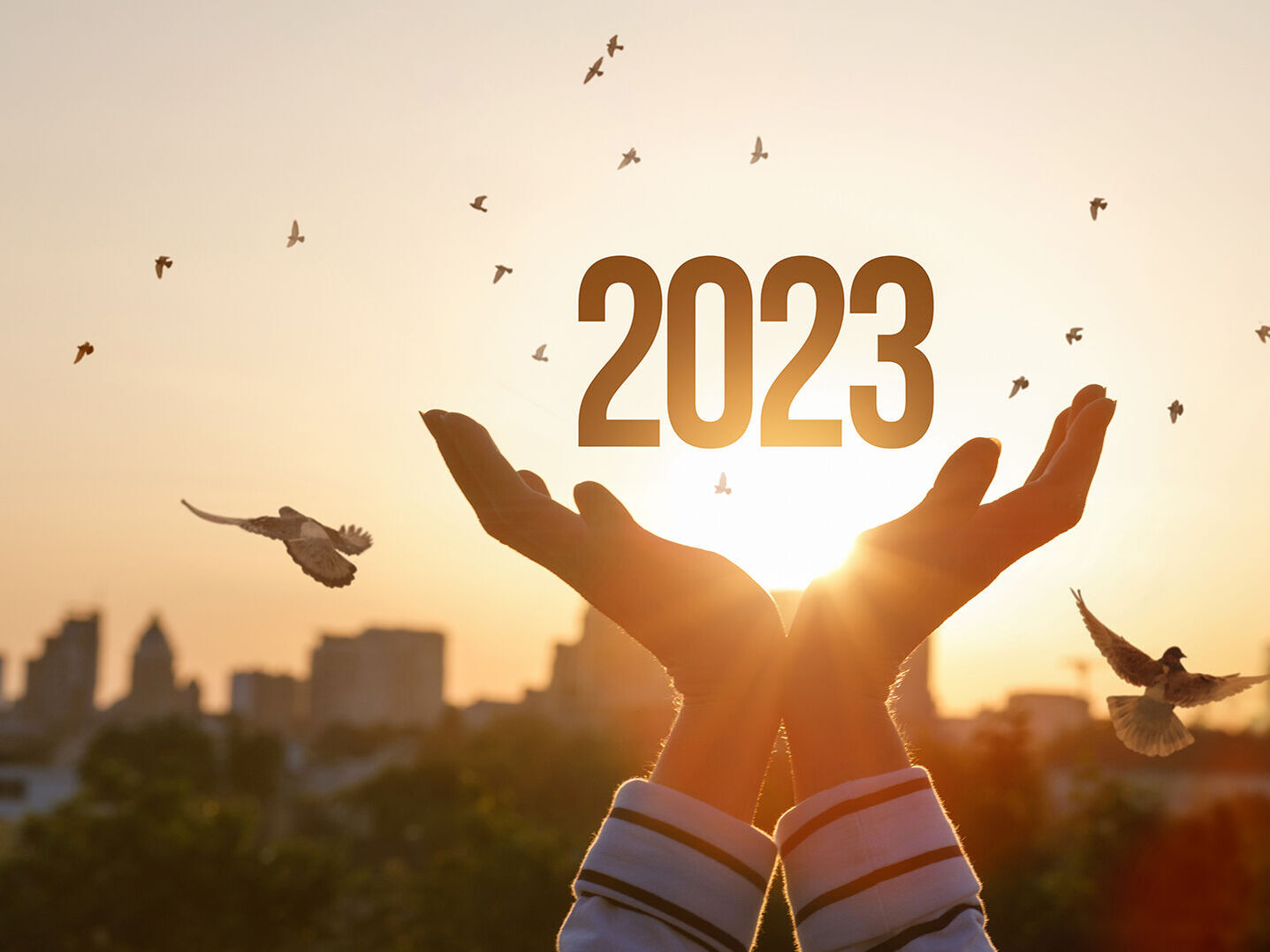 Sparen im neuen Jahr: So wird 2023 Ihr Finanzjahr.